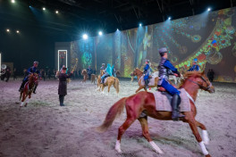 Qarabağ atları Bəhreyndə keçirilən “Mara’ee 2025” festivalında çıxış edib - FOTO 