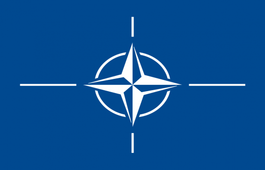 Kobaxidze NATO-nun “açıq qapı” siyasətini "fars" adlandırıb