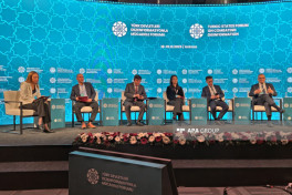 Türk dövlətlərinin dezinformasiya ilə mübarizə forumu