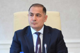 Azər Əmiraslanov, Milli Məclisin İqtisadi siyasət, sənaye və sahibkarlıq komitəsinin sədri