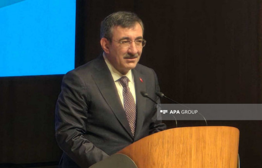 Vitse-prezident: Türkiyə bərpa olunan enerji sahəsində Azərbaycanla hərtərəfli əməkdaşlığa hazırdır