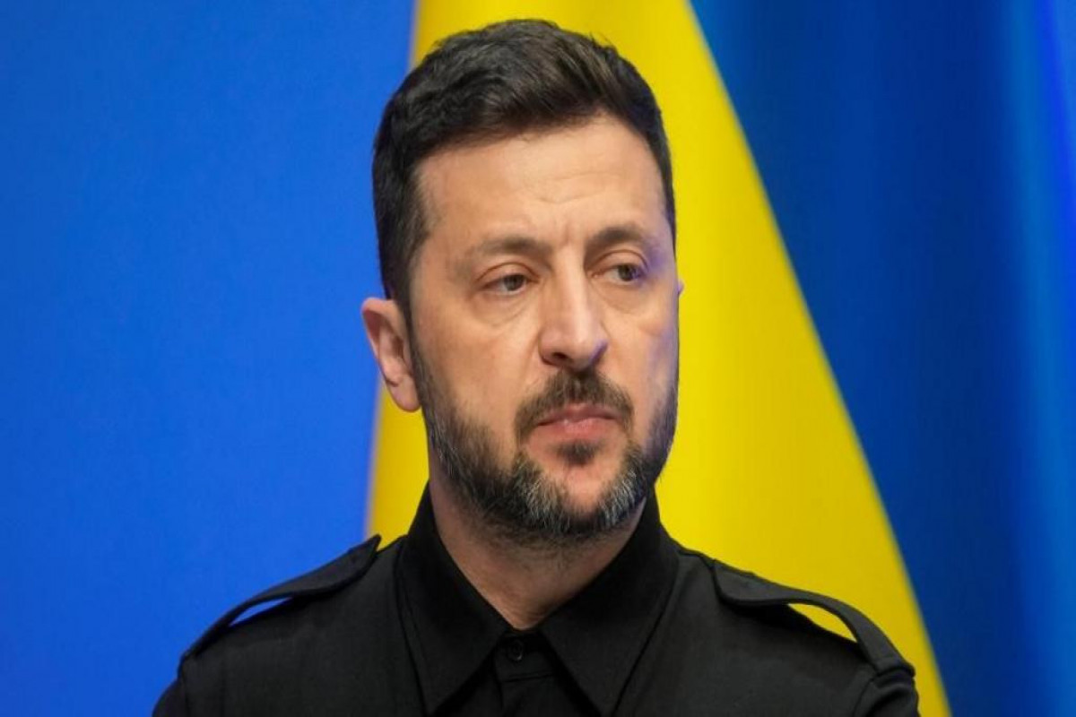 Zelenski Danimarkaya gedib