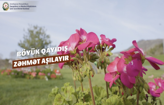 Dövlət Komitəsi Laçın şəhərindən görüntülər yayıb - VİDEO 