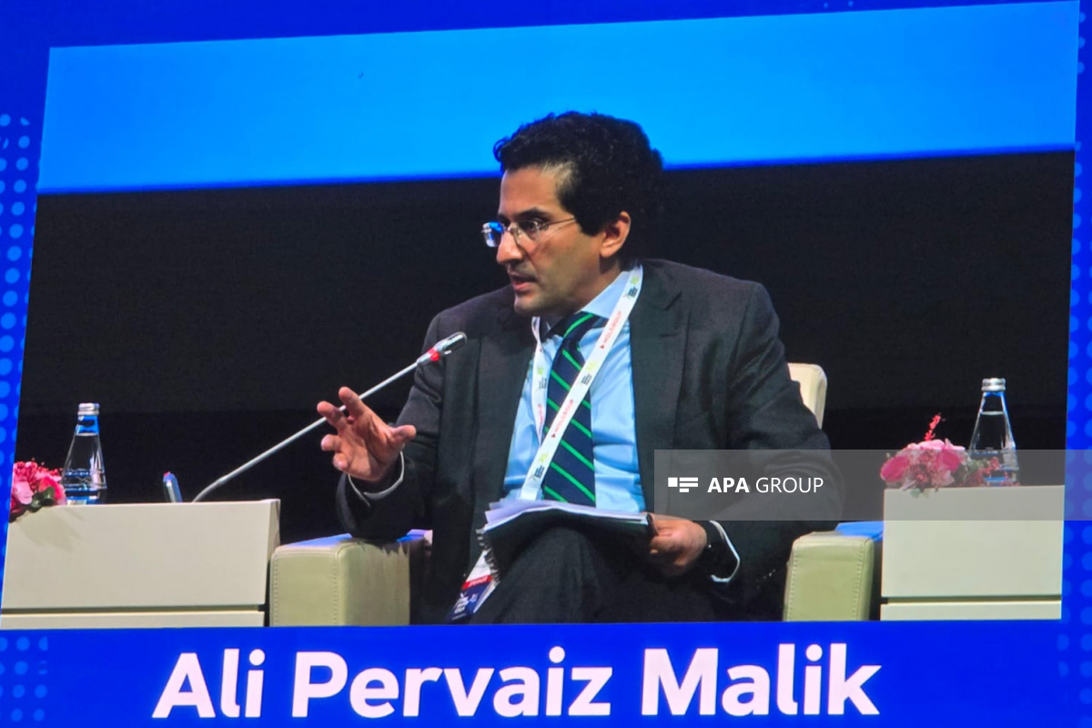 Əli Pərviz Malik