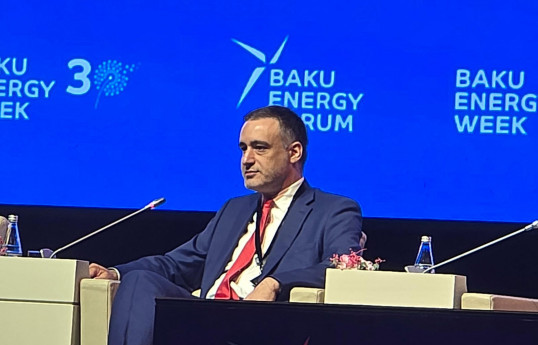 Gürcüstanlı nazir müavini: Azərbaycanla həyata keçirilən yaşıl enerji layihəsi “çox iddialı və strateji əhəmiyyətli”dir