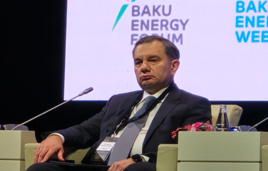 Nazir müavini: Dövlət şirkətləri fəaliyyətlərində yaşıl enerjiyə keçidə başlayıblar