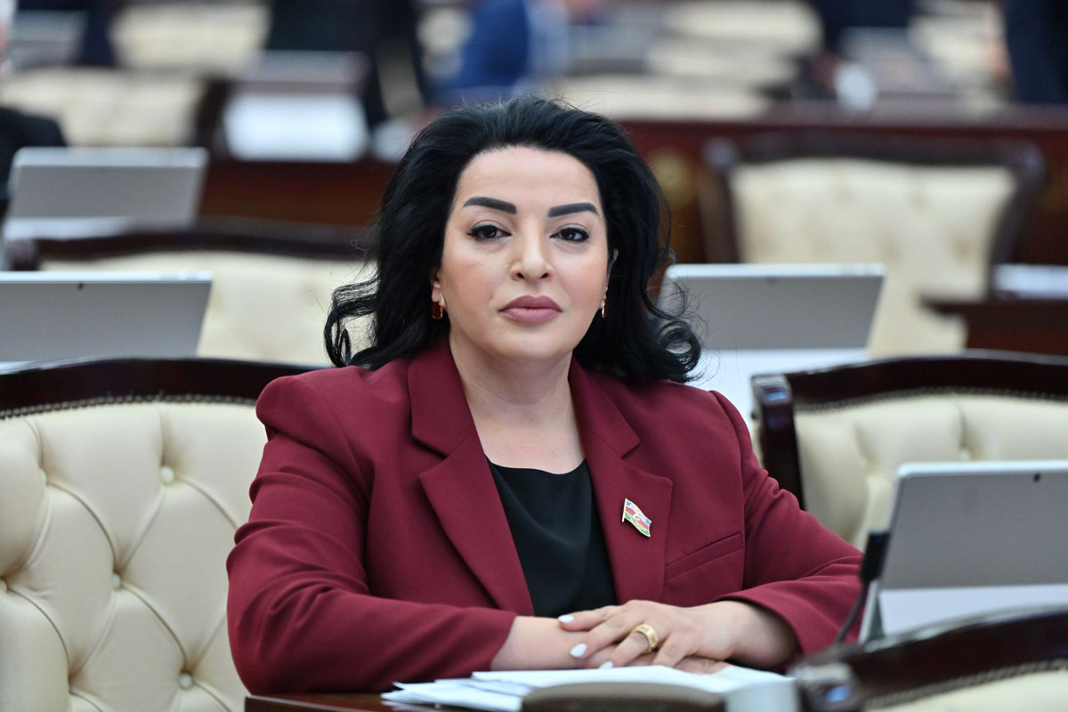 Fatma Yıldırım, Milli Məclisin Təbii ehtiyatlar, energetika və ekologiya komitəsinin sədr müavini