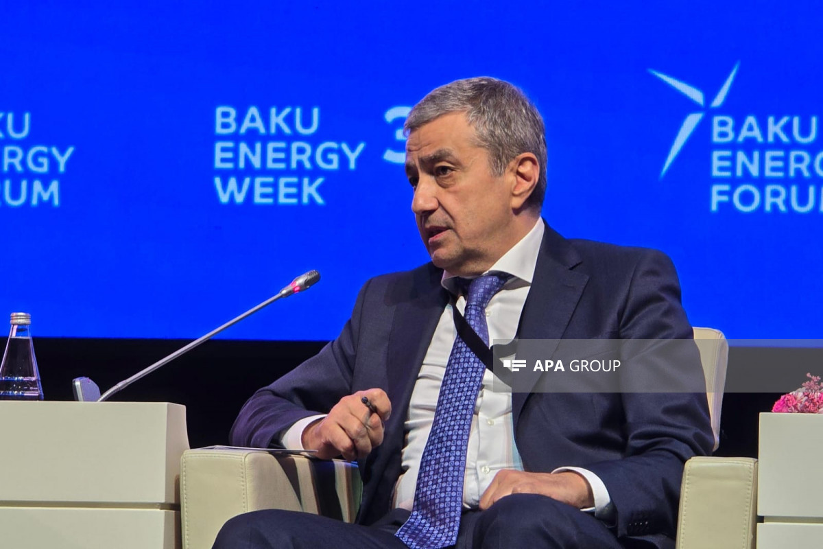 Kamal Abbasov: Aİ-nin əlavə qaz tələbatını qarşılamaq üçün uzunmüddətli müqavilələr və maliyyə dəstəyi vacibdir