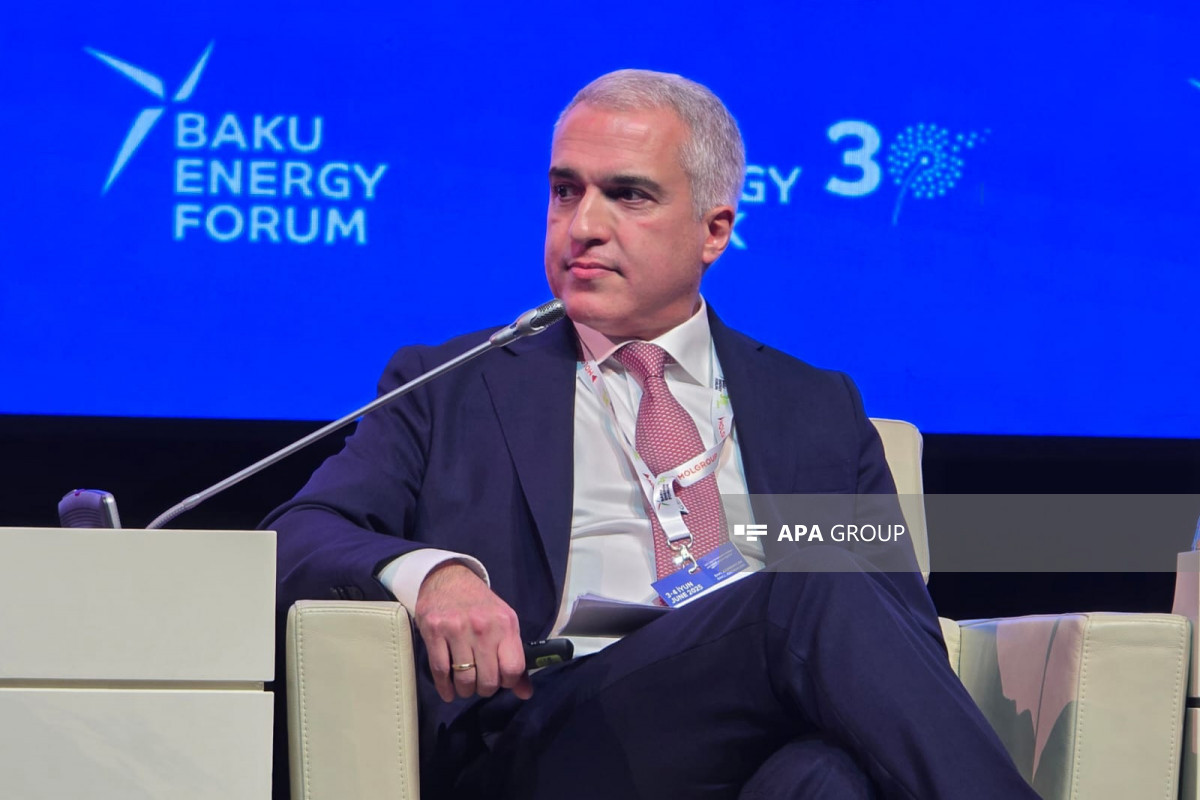 AERA sədri: Azərbaycanda “Yaşıl enerji” təşəbbüslərinə aşağı faizli kredit veriləcək