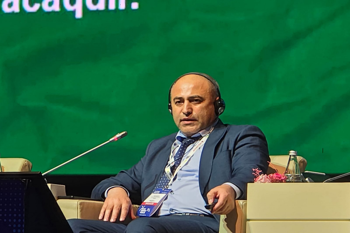 Bərpa olunan enerji mənbələrinin inteqrasiyasında mənfi təsirlər açıqlanıb
