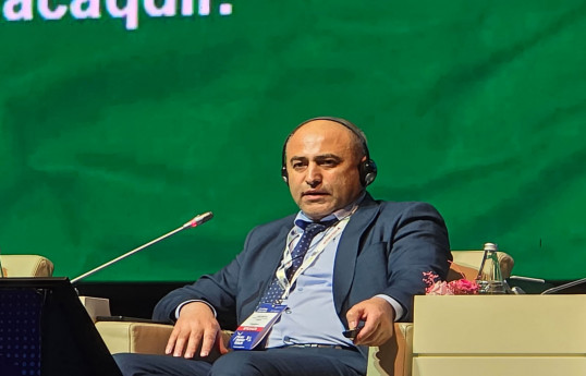Bərpa olunan enerji mənbələrinin inteqrasiyasında mənfi təsirlər açıqlanıb