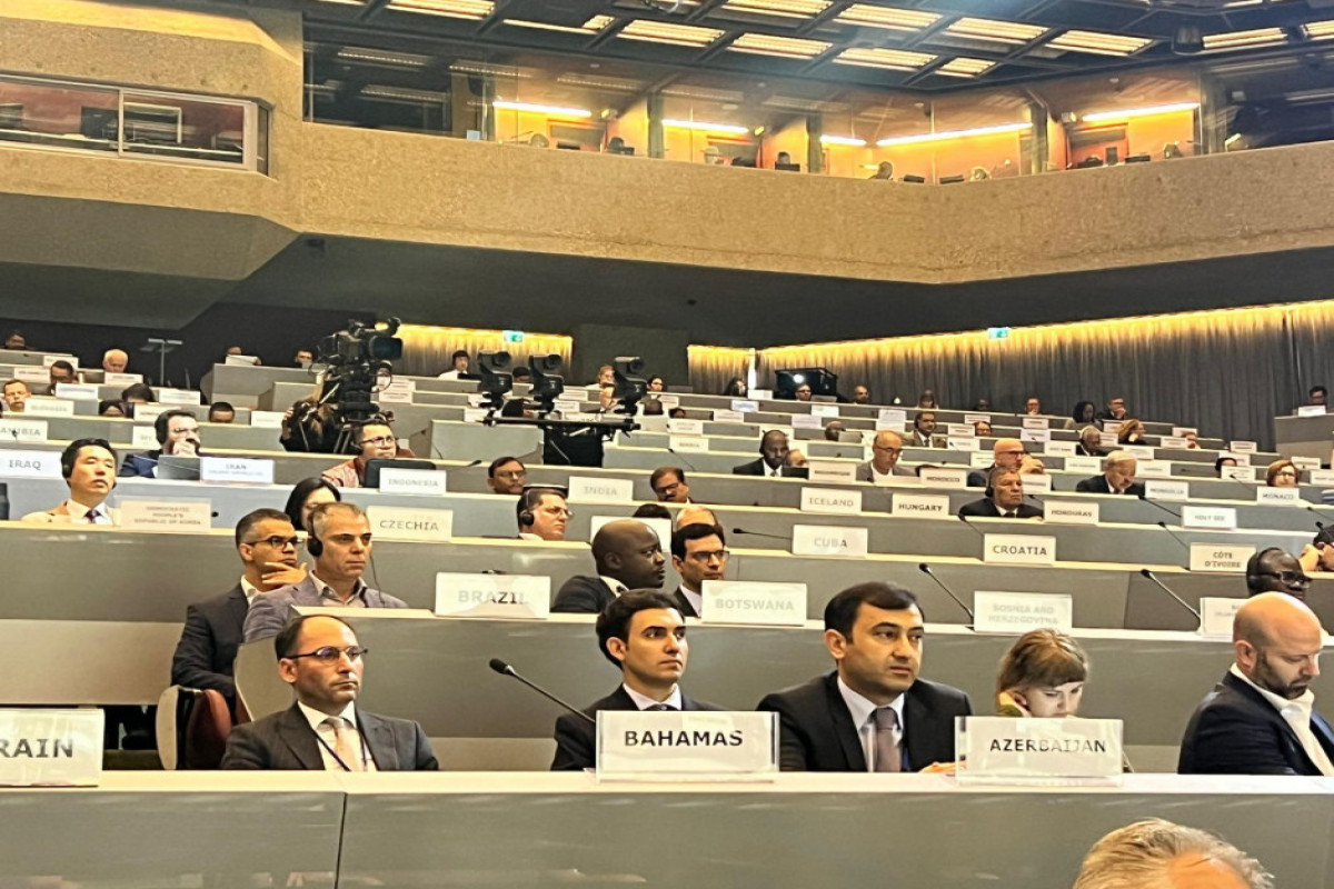 FHN-in nümayəndəsi BMT-nin Fəlakət Riskinin Azaldılması Ofisinin tədbirində iştirak edib