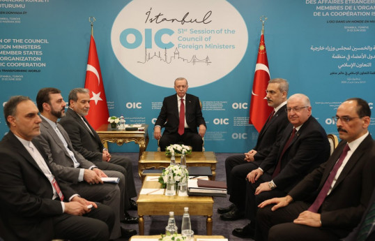 Ərdoğan Araqçini qəbul edib