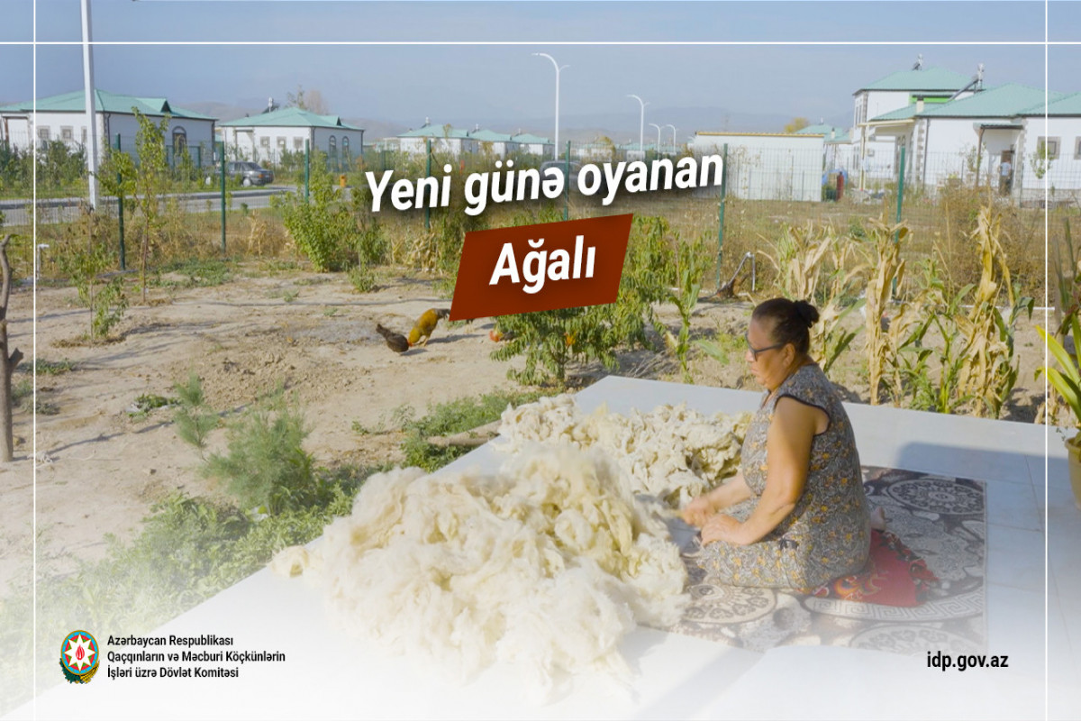 Yeni günə oyanan Ağalı - VİDEO 