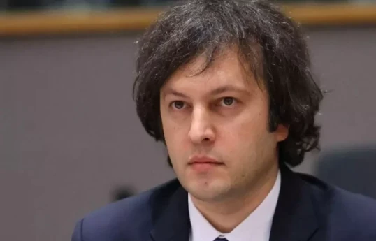 Kobaxidze: Anaklia limanının tikintisinin birinci mərhələsi 2029-cu ilədək başa çatacaq