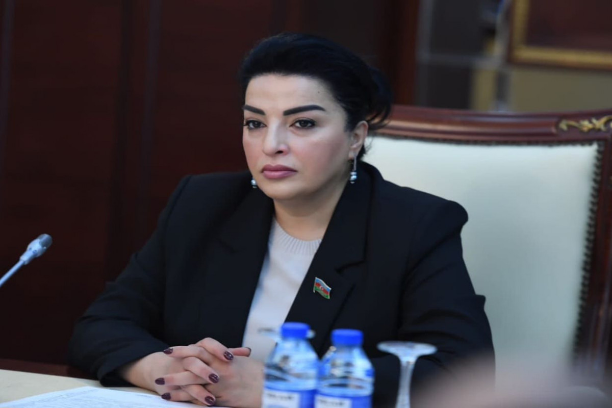 Fatma Yıldırım, Milli Məclisin deputatı
