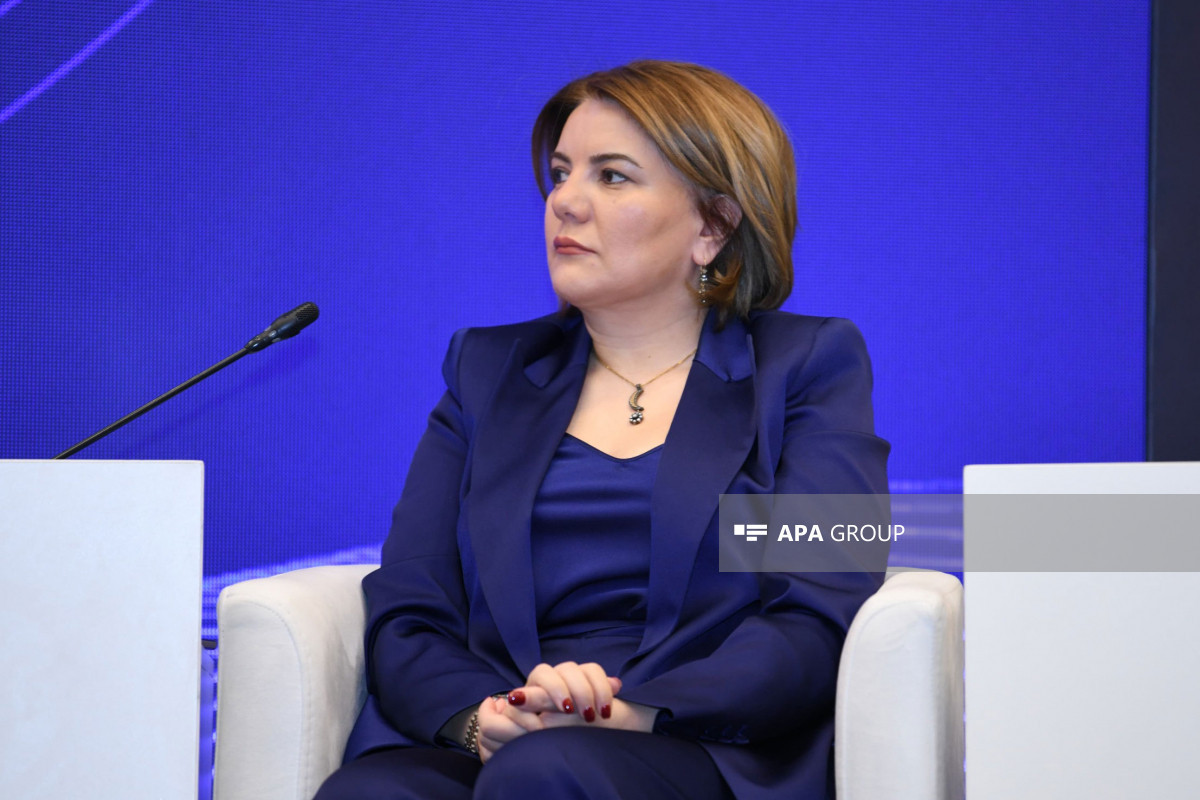 APA Media Group-un baş direktoru Vüsalə Mahirqızı