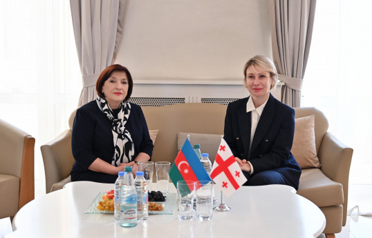 Milli Məclisin sədri Gürcüstana səfər edib