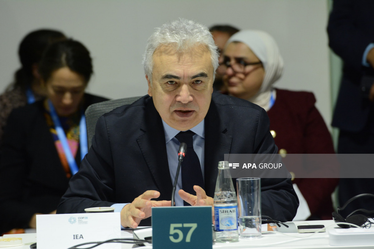 Beynəlxalq Enerji Agentliyinin icraçı direktoru Fatih Birol