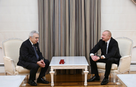 Prezident İlham Əliyev BEA-nın icraçı direktorunu qəbul edib - YENİLƏNİB 