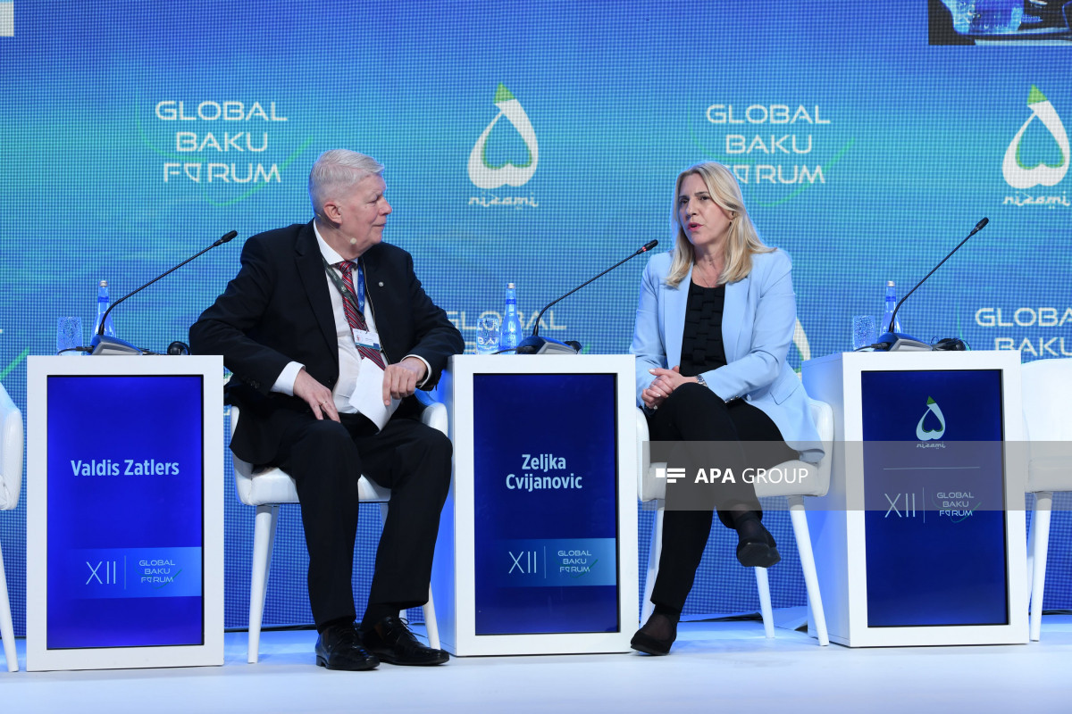 Jelka Tsviyanoviç: Hazırda bütün qərarları Ali nümayəndənin verməsi ölkəni böhrana aparır