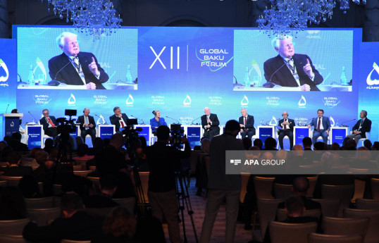 XİN rəhbərinin müavini: Böhranların həlli üçün işlək variantlar tapılmalıdır - FOTO 