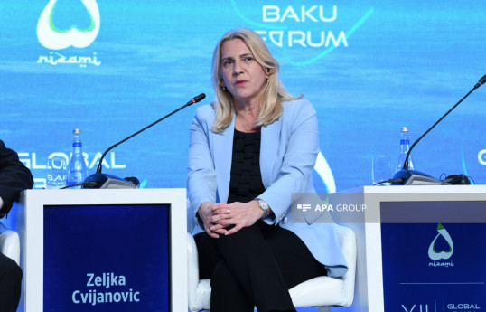 Bosniya və Herseqovinanın Rəyasət Heyətinin Sədri Jelka Tsviyanoviç