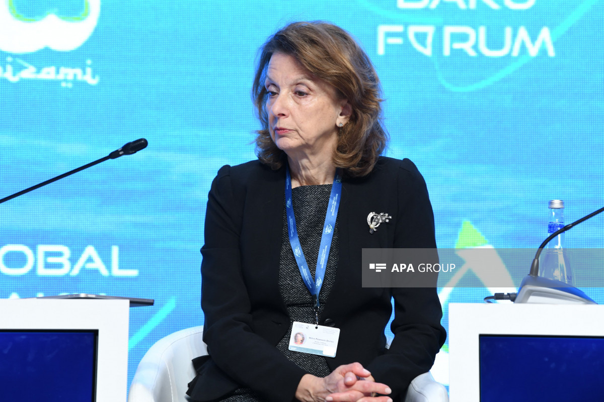 Monteneqronun sabiq müdafiə naziri: Süni intellektin təhsil sahəsi üçün əhəmiyyəti danılmazdır