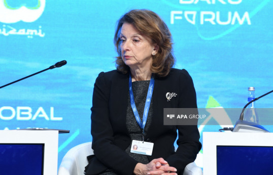 Monteneqronun sabiq müdafiə naziri: Süni intellektin təhsil sahəsi üçün əhəmiyyəti danılmazdır