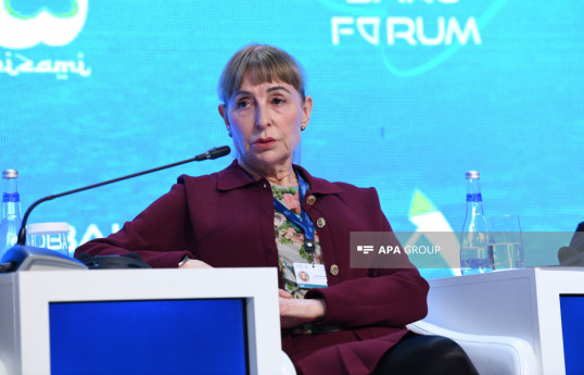 Britaniya Lordlar Palatasının üzvü: Qlobal sağlamlıq böhranı bütün millətlərə təsir edir