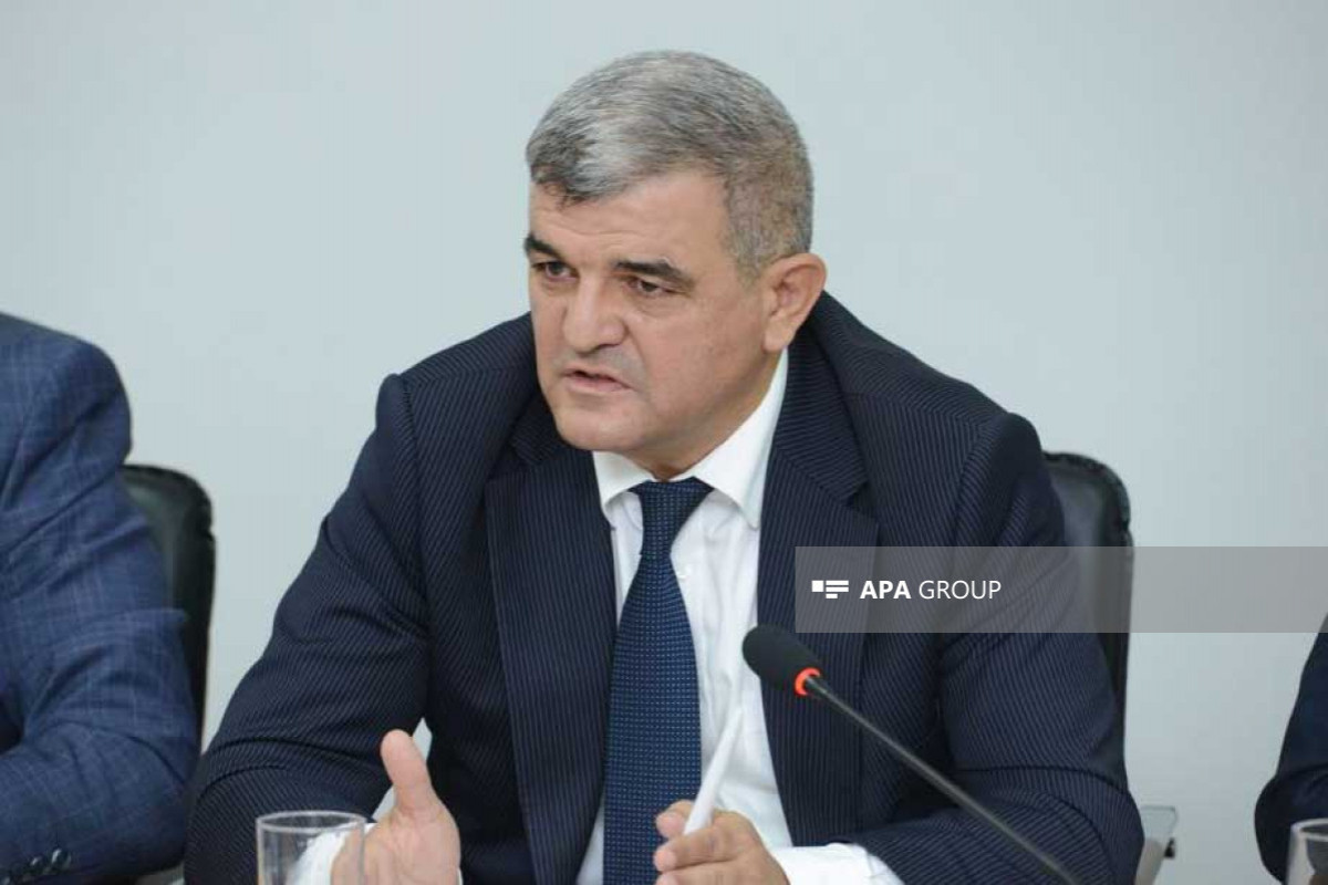 Fazil Mustafa, Milli Məclisin Mədəniyyət komitəsinin sədri