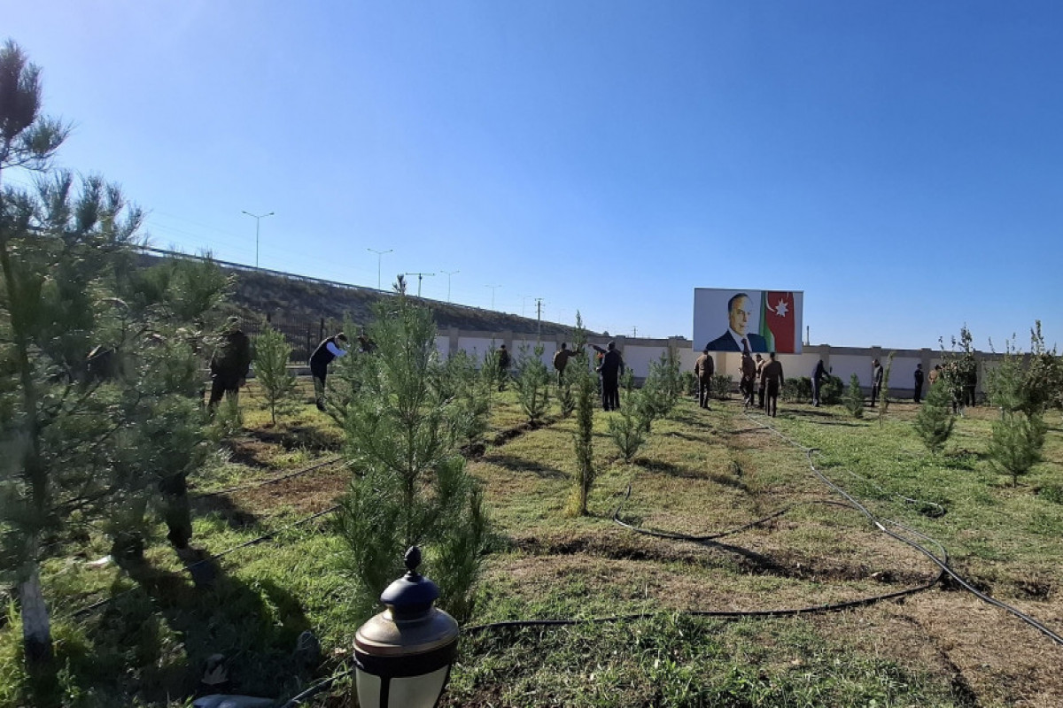FHN-in regional mərkəzləri ağacəkmə aksiyası keçirib