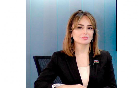 Nigar Məmmədova, Milli Məclisin deputatı
