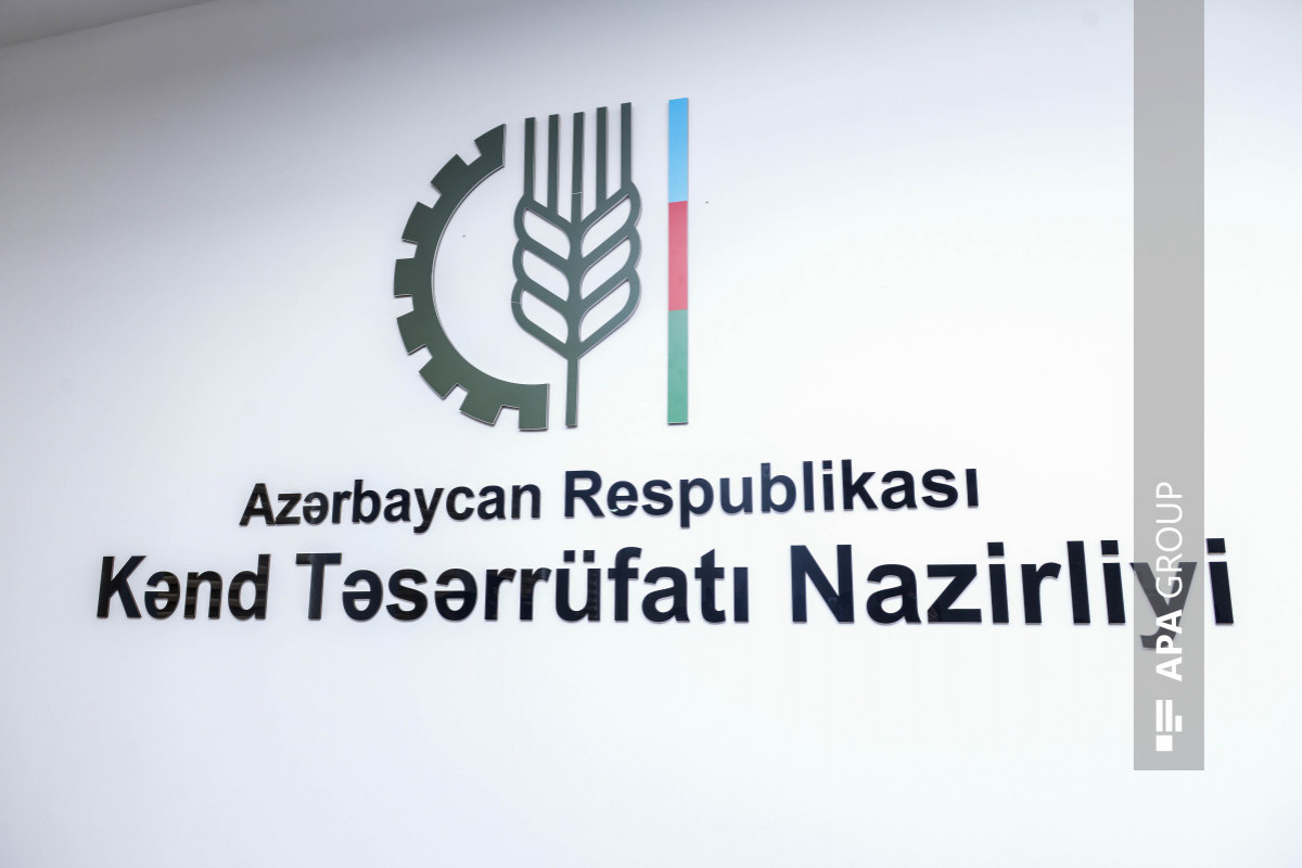 KTN-in hansı hallarda vergi sirrinə aid məlumatları əldə edəcəyi müəyyənləşir