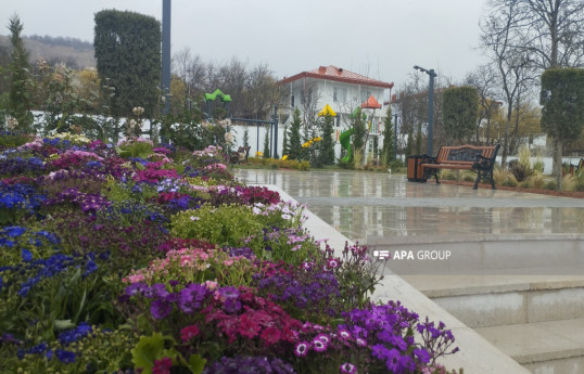 Ağdərənin Həsənriz kəndinə köçmək üçün 360 nəfər siyahıya alınıb