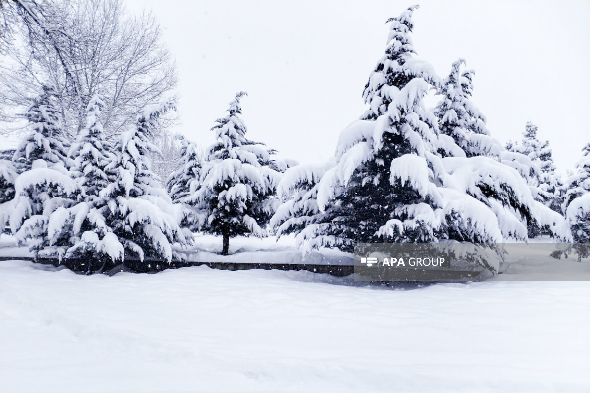 Bəzi ərazilərə qar yağıb - FAKTİKİ HAVA 