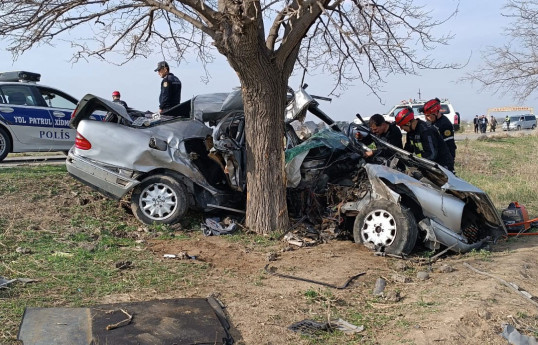 Ağstafada avtomobil ağaca çırpılıb, 3-cü kürs tələbəsi ölüb - FOTO 