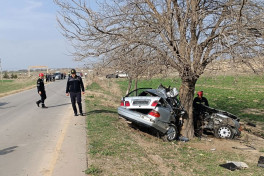 Ağstafada avtomobil ağaca çırpılıb, 3-cü kürs tələbəsi ölüb - FOTO 