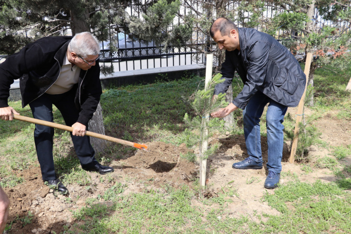 FHN-nin akademiyasında ağacəkmə aksiyası keçirilib - FOTO 