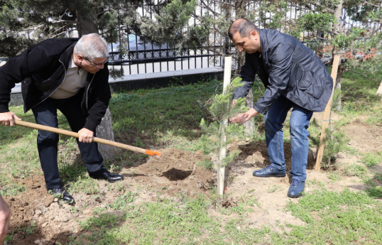 FHN-nin akademiyasında ağacəkmə aksiyası keçirilib - FOTO 