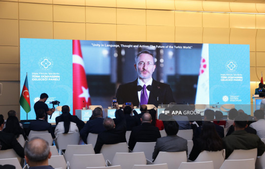 Bakıda TDT-yə üzv olan ölkələrin nümayəndələrinin iştirakı ilə panel keçirilib - FOTO  - YENİLƏNİB 