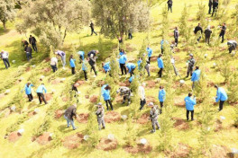 Paytaxtda növbəti ağacəkmə aksiyası keçirilib - FOTO 