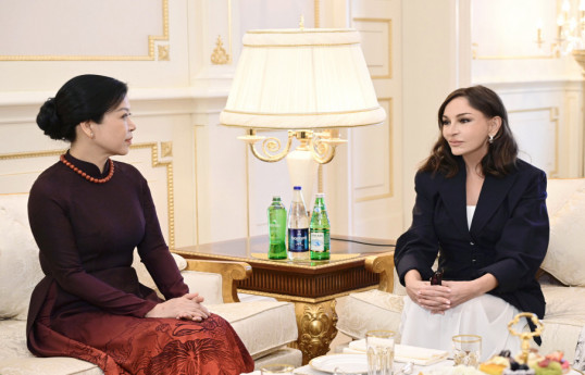 Mehriban Əliyeva Vyetnam Kommunist Partiyasının Mərkəzi Komitəsinin Baş katibinin xanımı ilə görüşüb