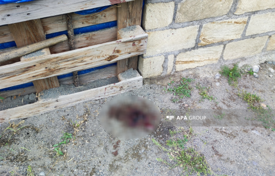 Tərtərdə 35 yaşlı qadın qətlə yetirilib, qayınatası tutulub - YENİLƏNİB-1  - FOTO 