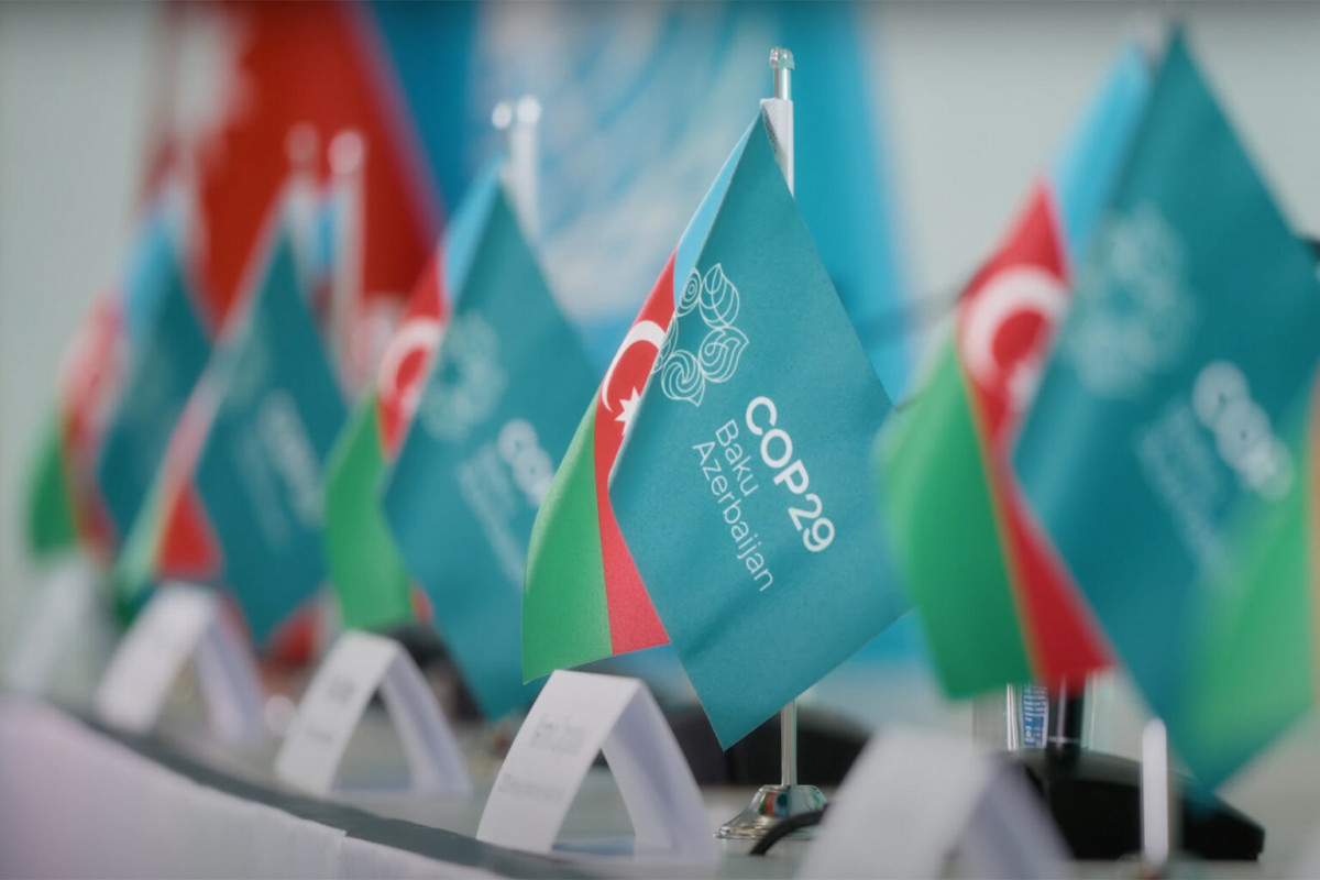 Ötən il COP29-a dövlət büdcəsindən ayrılan vəsaitin həcmi açıqlanıb