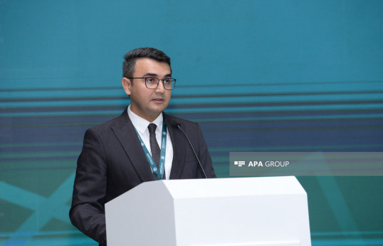 İcraçı direktor: İslamofobiyaya həsr edilmiş konfrans çıxış yollarının tapılması üçün imkandır