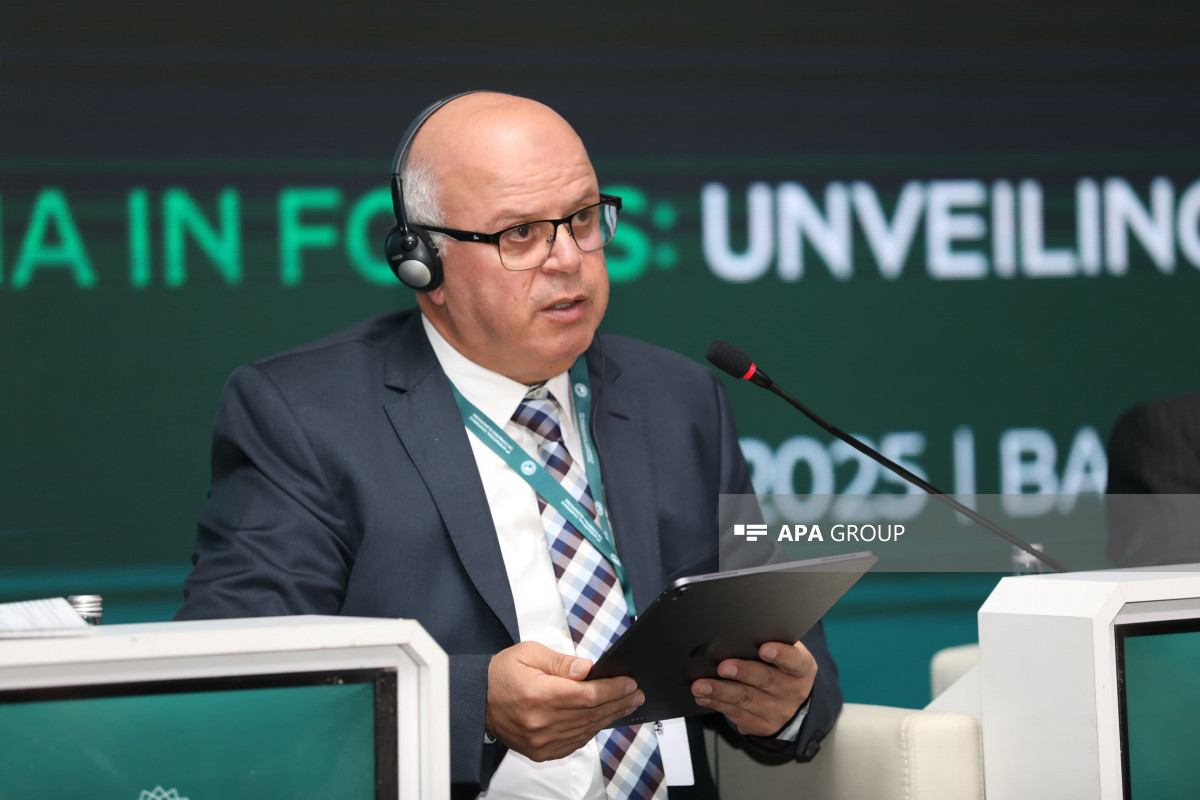 Strasburq Ulu Məscidinin prezidenti: İslamofobiya təkcə Fransada deyil, Avropada narahatedici vəziyyətə çatıb