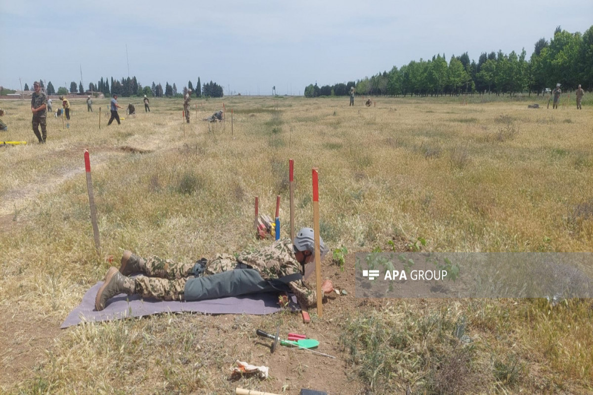 ANAMA-nın Göygöl Regional Təlim Mərkəzinə media-tur təşkil olunub - FOTO 