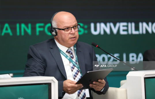 Strasburq Ulu Məscidinin prezidenti: İslamofobiya təkcə Fransada deyil, Avropada narahatedici vəziyyətə çatıb