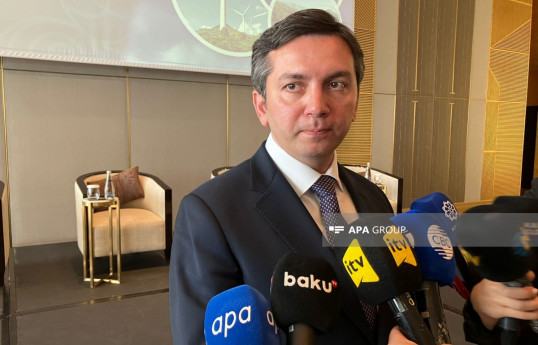 Azərbaycan Türkiyə ilə COP-a dair təcrübəsini bölüşməyə hazırdır